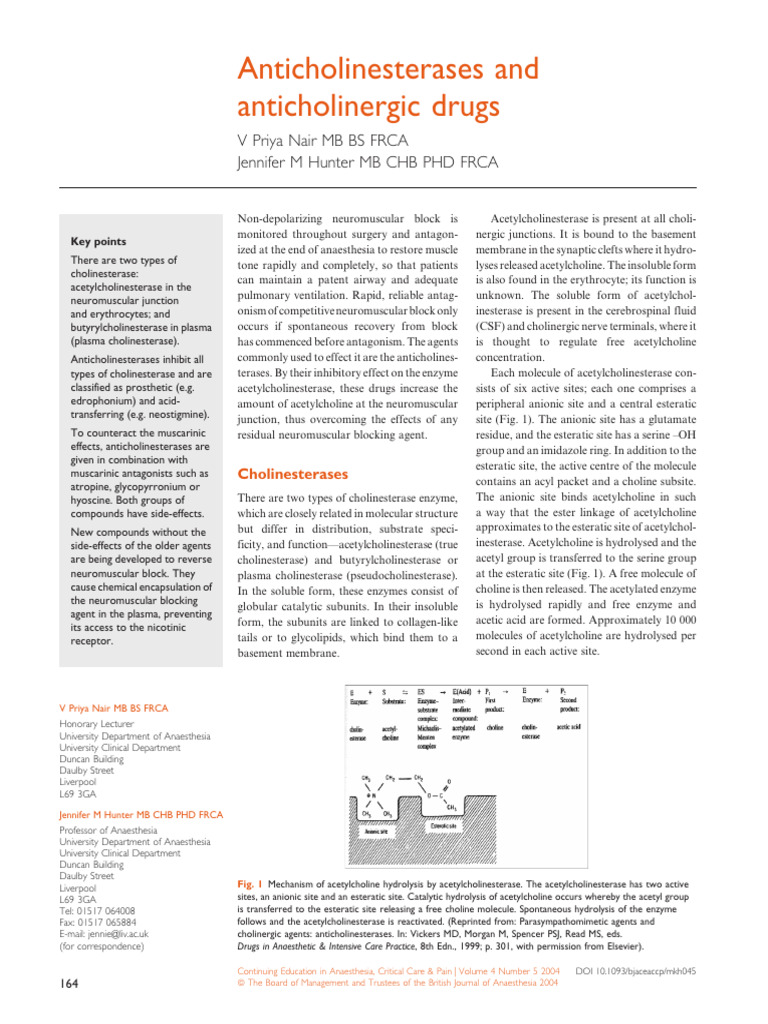 Anticholinesterases and Anticholinergic Drugs CEACCP 2004 | PDF ...
