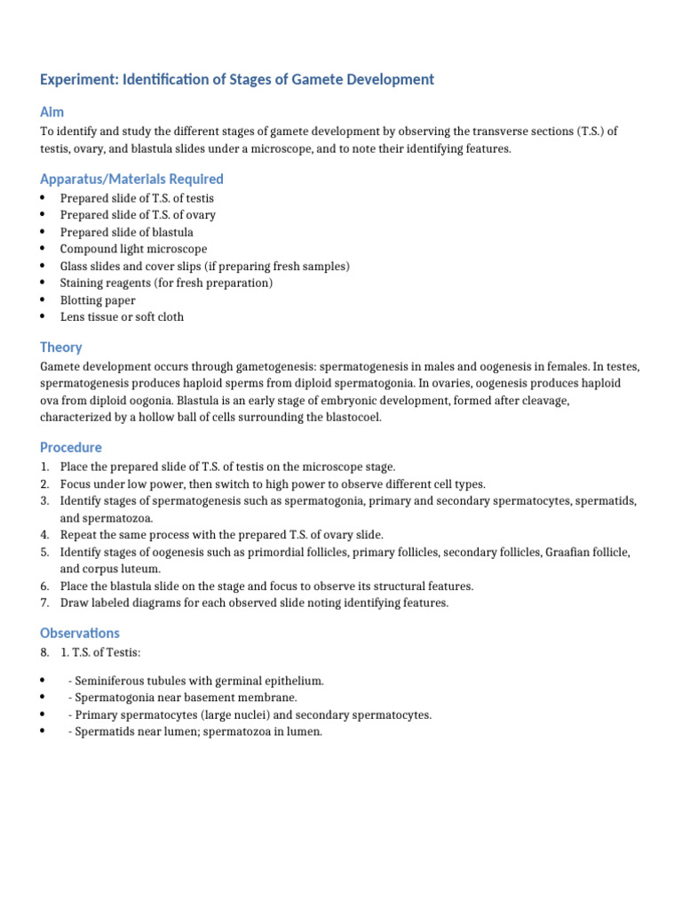 Gamete Development Stages Experiment | PDF | Testicle | Reproduction