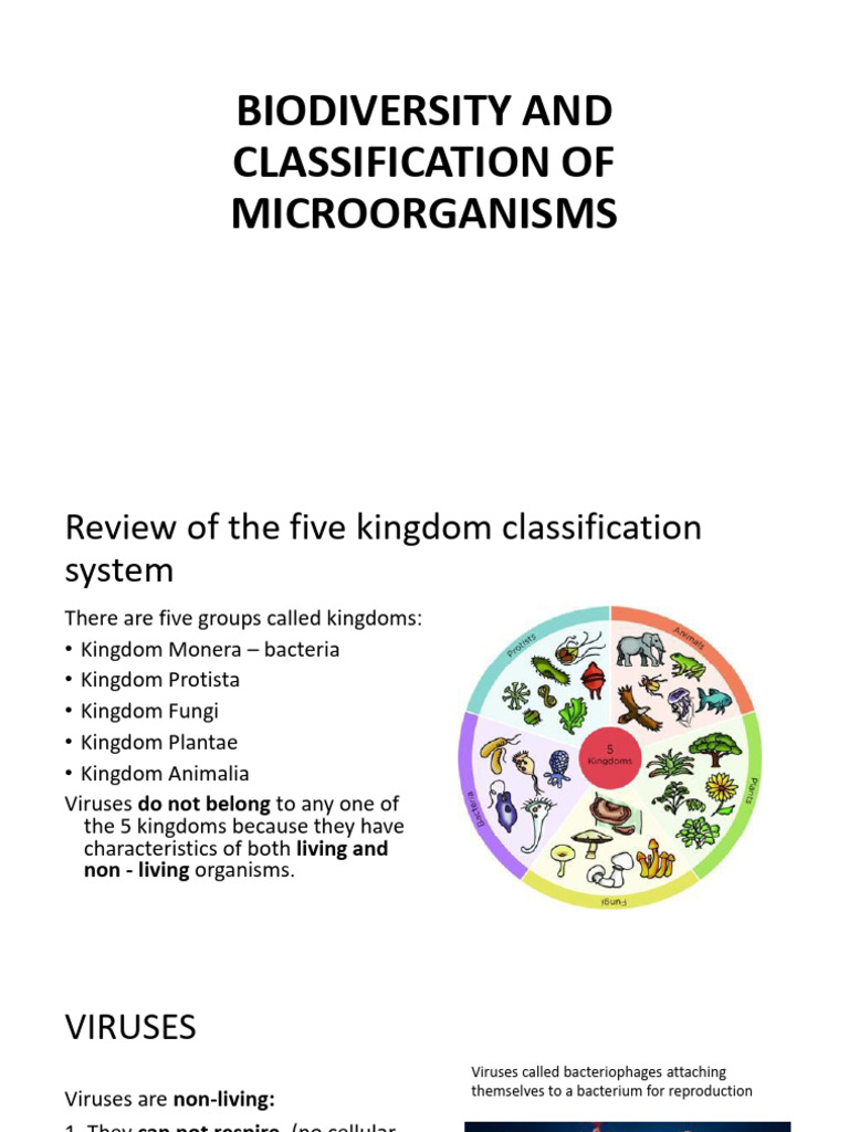 Microorganism Classification and Roles | PDF | Bacteria | Virus