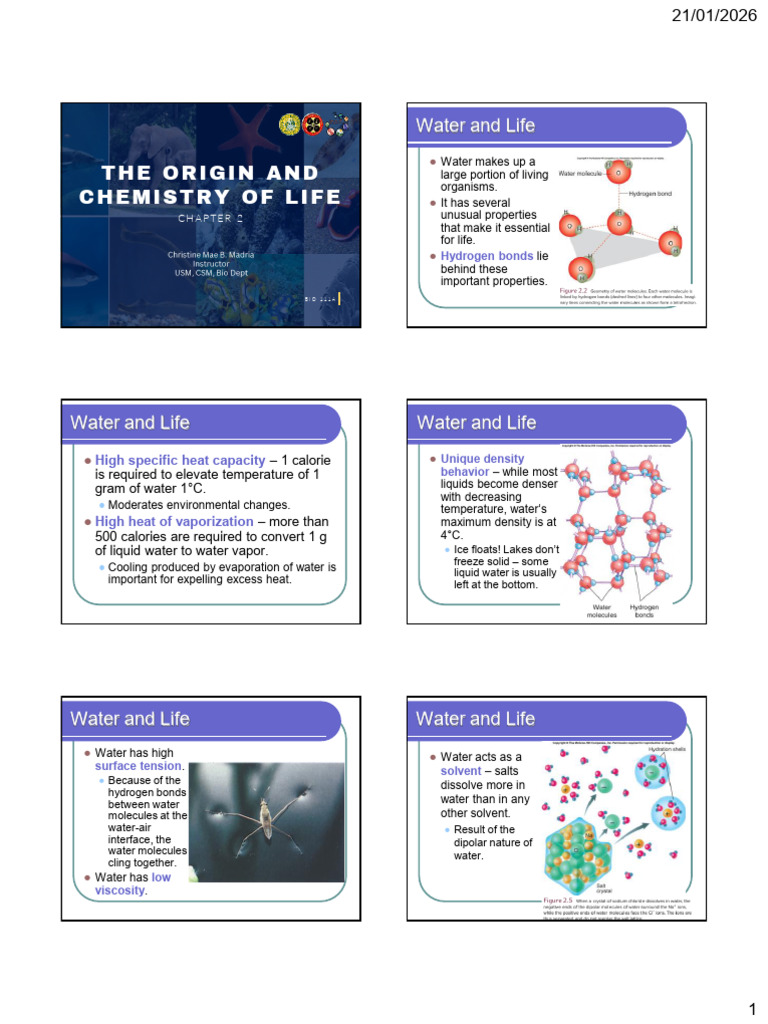 2.-The-Origin-and-Chemistry-of-Life | PDF | Carbohydrates | Abiogenesis