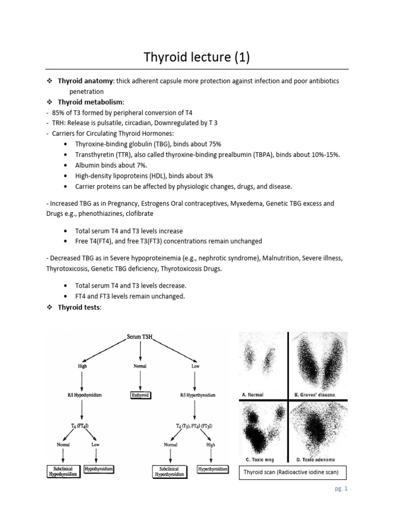 Thyroid Lecture 1 | PDF | Hyperthyroidism | Thyroid