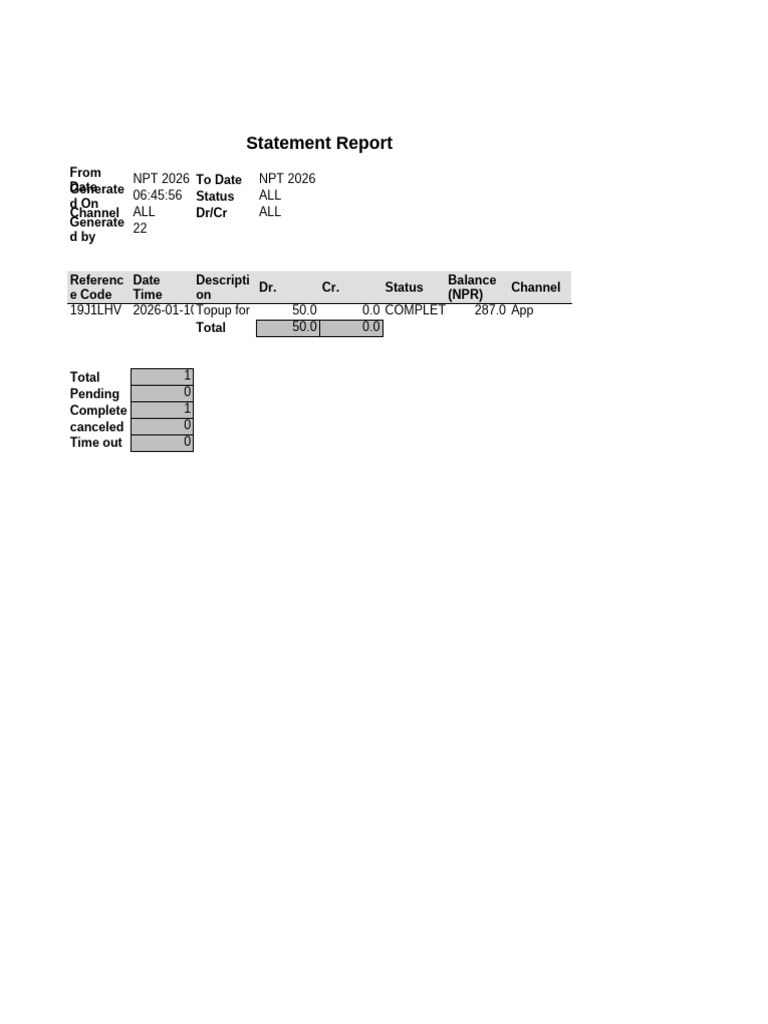 Financial Statement Report Summary | PDF