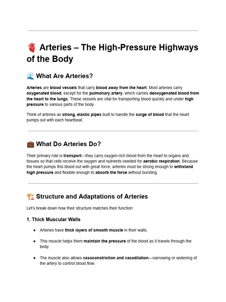 Arteries and Veins: Structure and Function | PDF | Artery | Vein