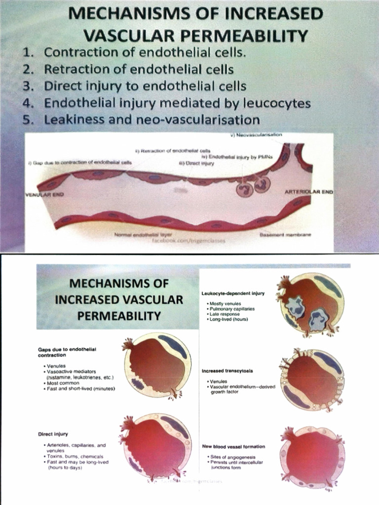 Inflammation 2 SB Sir | PDF