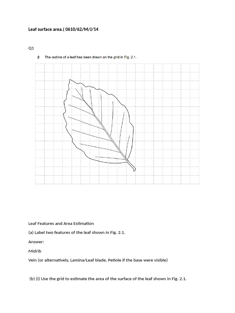 Estimating Leaf Surface Area Techniques | PDF