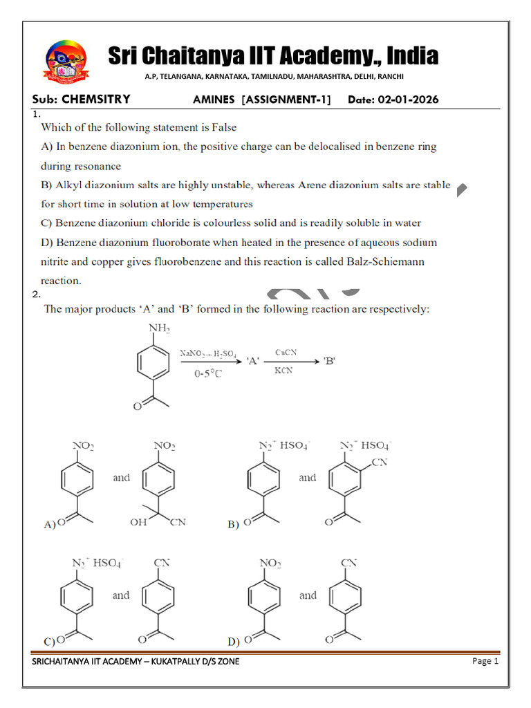 Chemistry Assignment on Amines | PDF