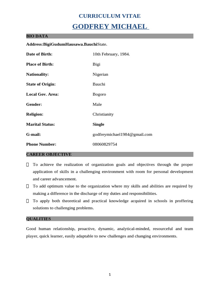 Godfrey Michael's CV and Career Profile | PDF | Learning