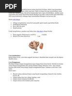 Download Sakit Di Telinga Bisa Disebabkan Karena Radang Dan Bisul Di Telinga by willy pratama SN98656522 doc pdf