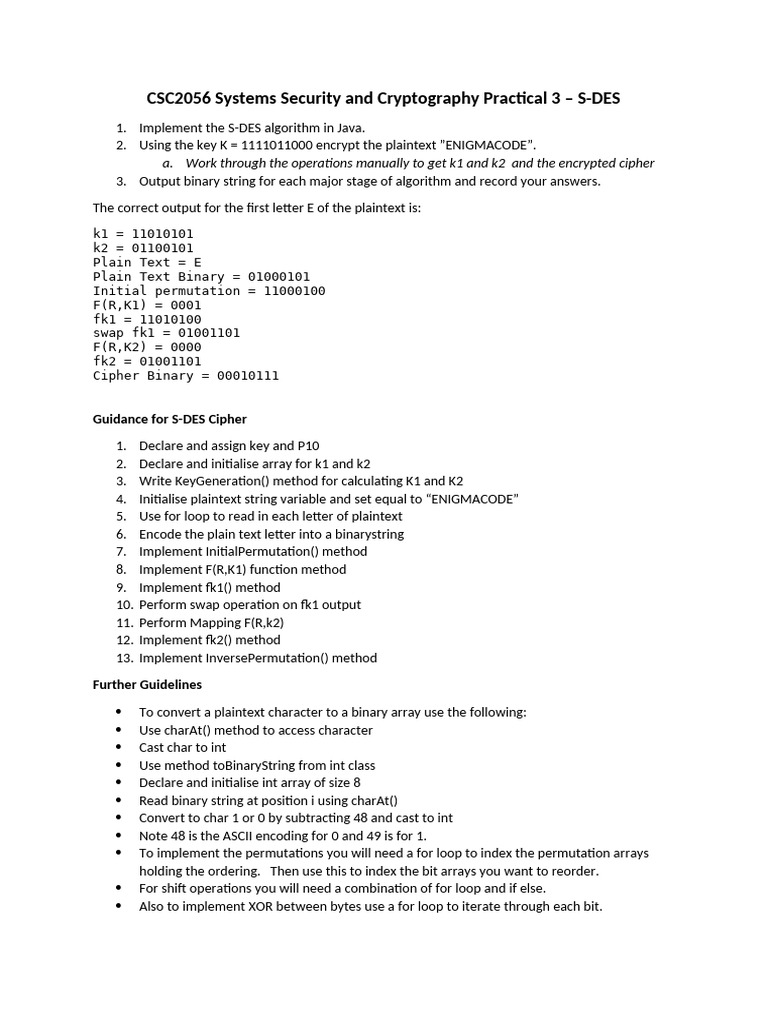 CSC2056 Practical 3 SDES | PDF
