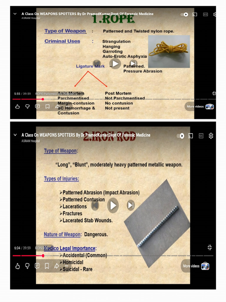Weapons | PDF