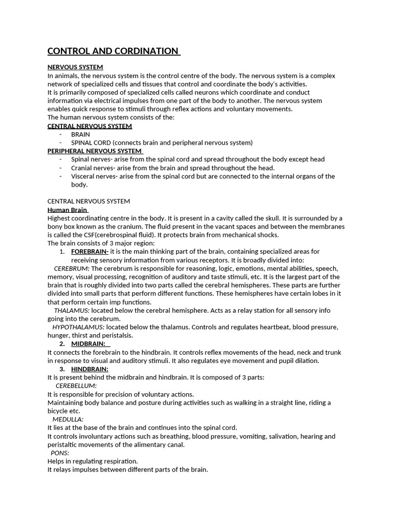Overview of the Nervous System Functions | PDF | Neuron | Central ...