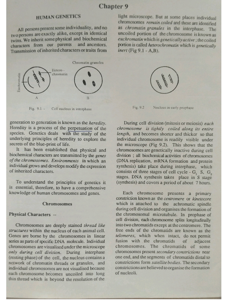 Anatomy Genetics PDF | PDF