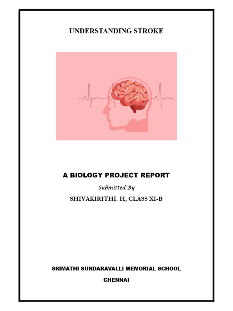 Comprehensive Stroke Overview Report | PDF | Stroke | Physical Therapy