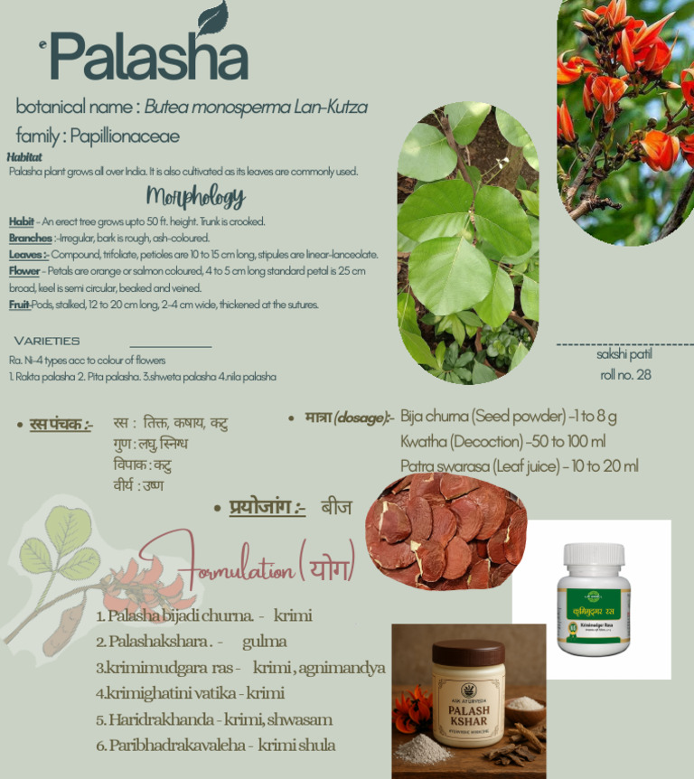 Palash_20260118_192453_0000 | PDF