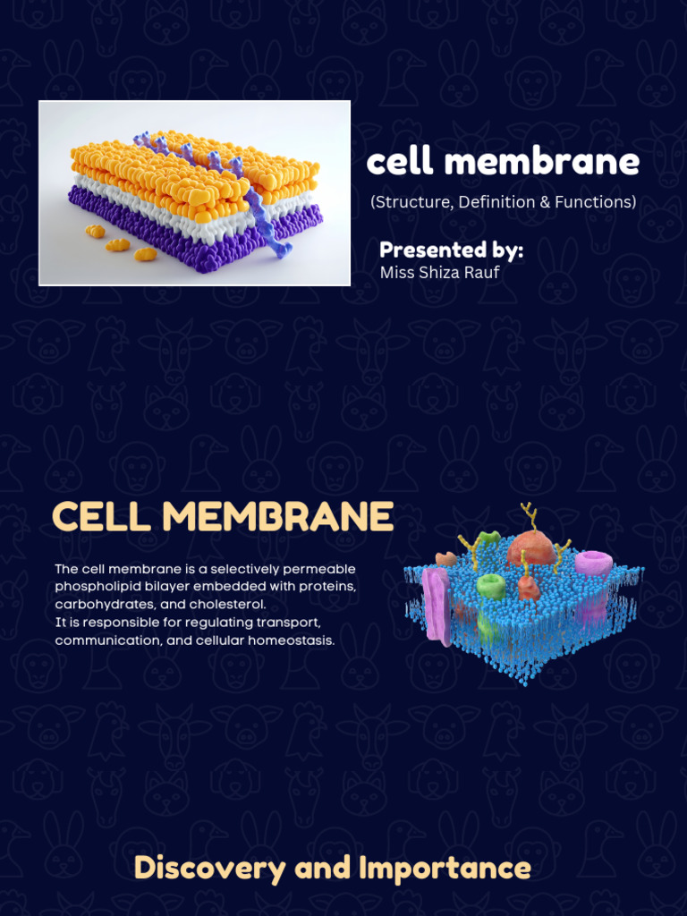 Cell Membrane: Structure & Functions | PDF | Cell Membrane | Cell (Biology)