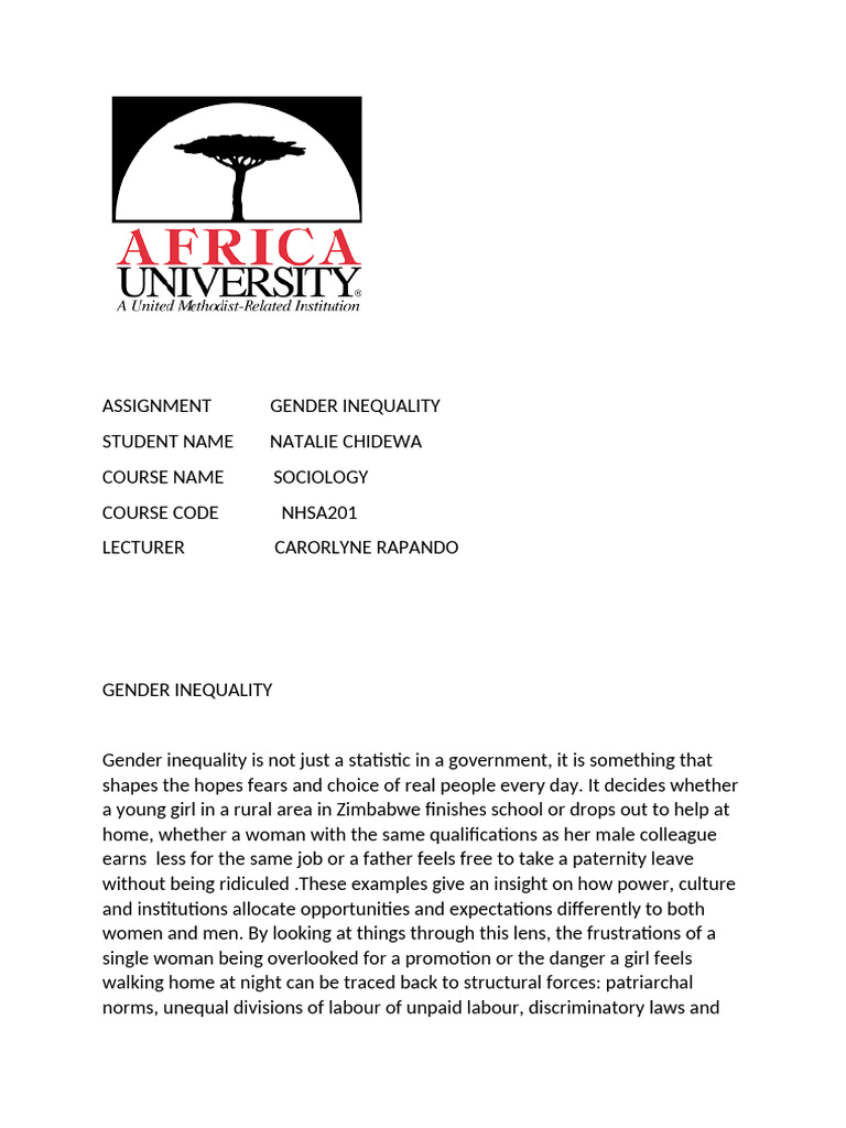 Understanding Gender Inequality Dynamics | PDF | Gender Inequality ...