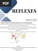 Reflex Grading Scale and Interpretation | PDF