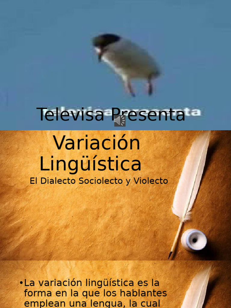 Variación Lingüística y Sus Tipos | PDF