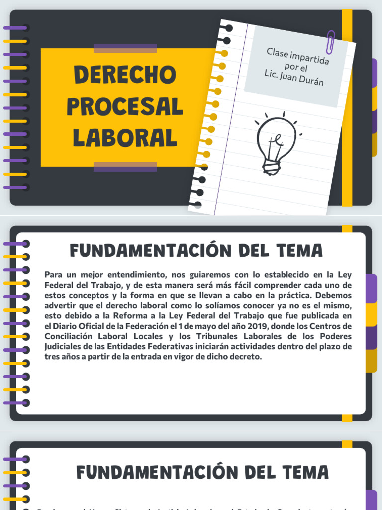 Principios del Derecho Procesal Laboral | PDF | Caso de ley | Ley procesal