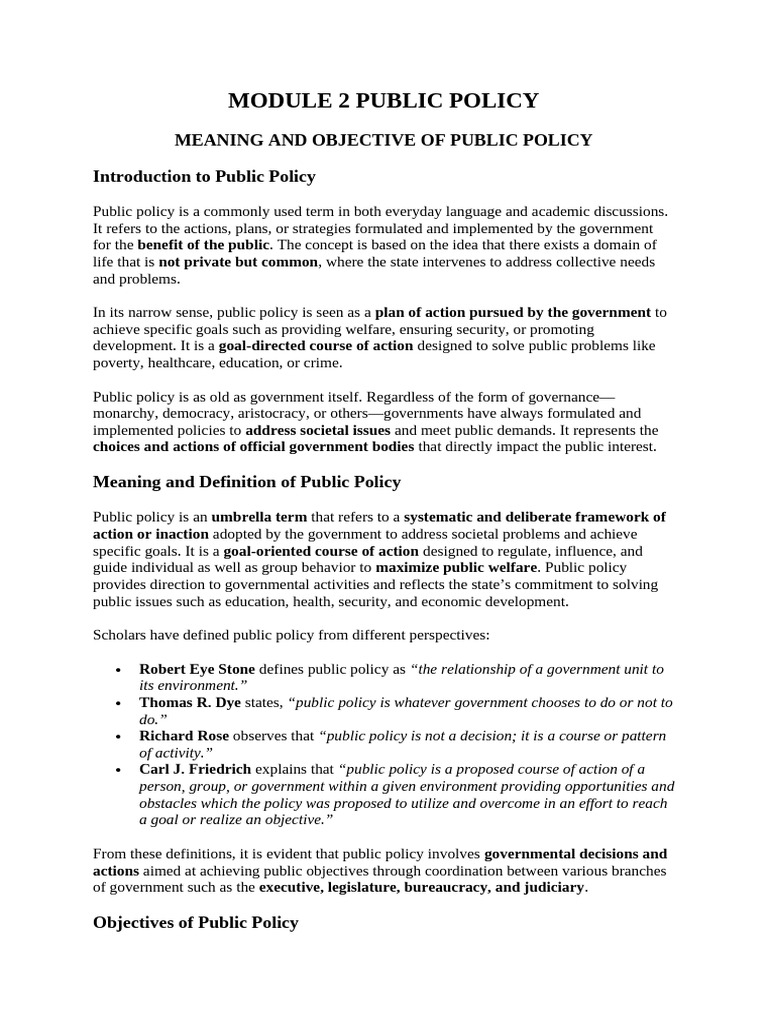 Understanding Public Policy Basics | PDF | Policy | Governance