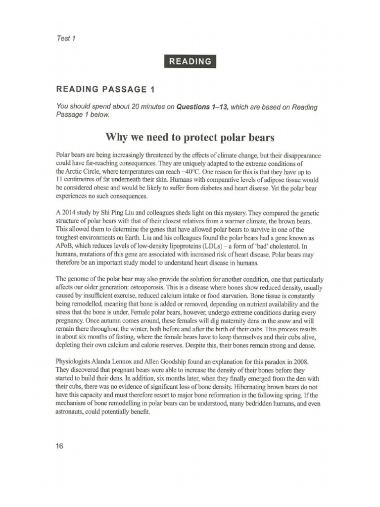 Mock Test Reading 5.0 | PDF