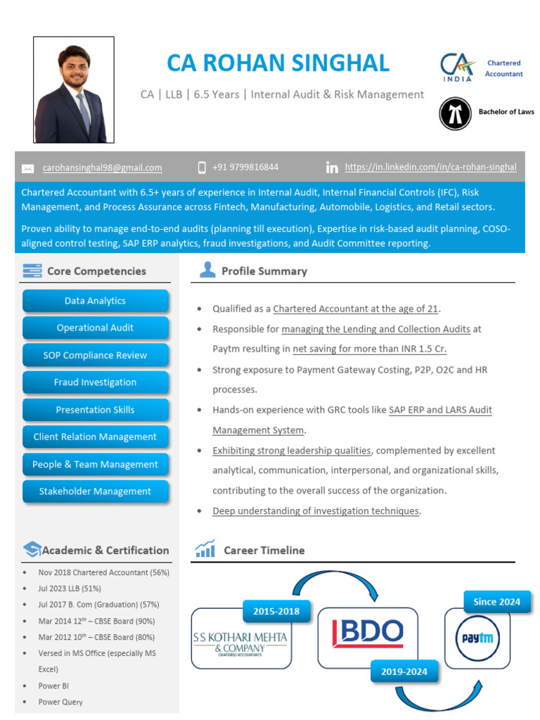 Chartered Accountant: Internal Audit Expert | PDF | Internal Audit | Audit