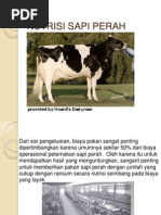 Download Nutrisi Sapi Perah by metrizal_poenya SN98669510 doc pdf