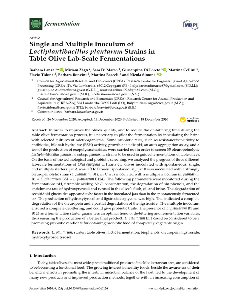 Optimizing Table Olive Fermentation | PDF | Probiotic | Olive