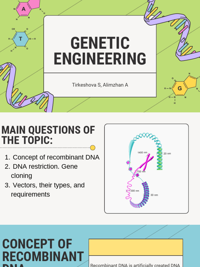 Genetic Engineering: DNA Cloning & Vectors | PDF | Molecular Cloning ...