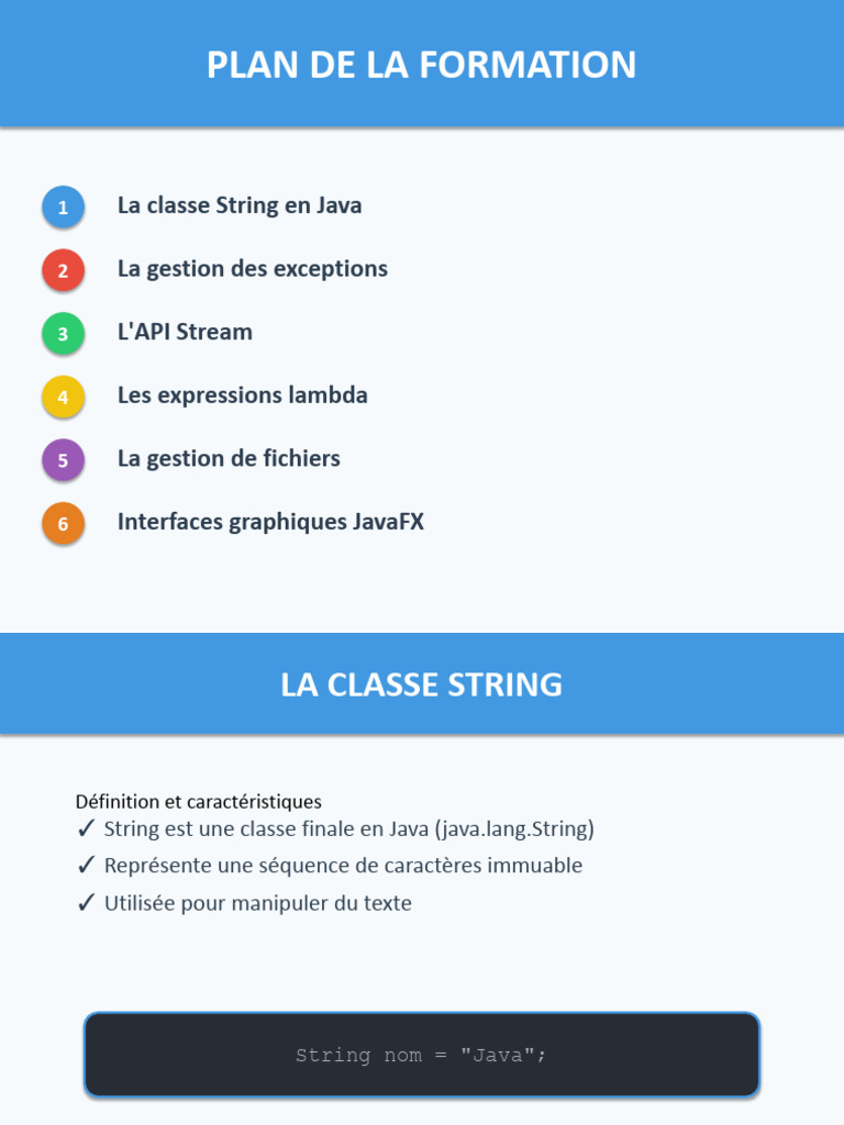 Formation Java : String, Exceptions, Lambda | PDF | Interface ...