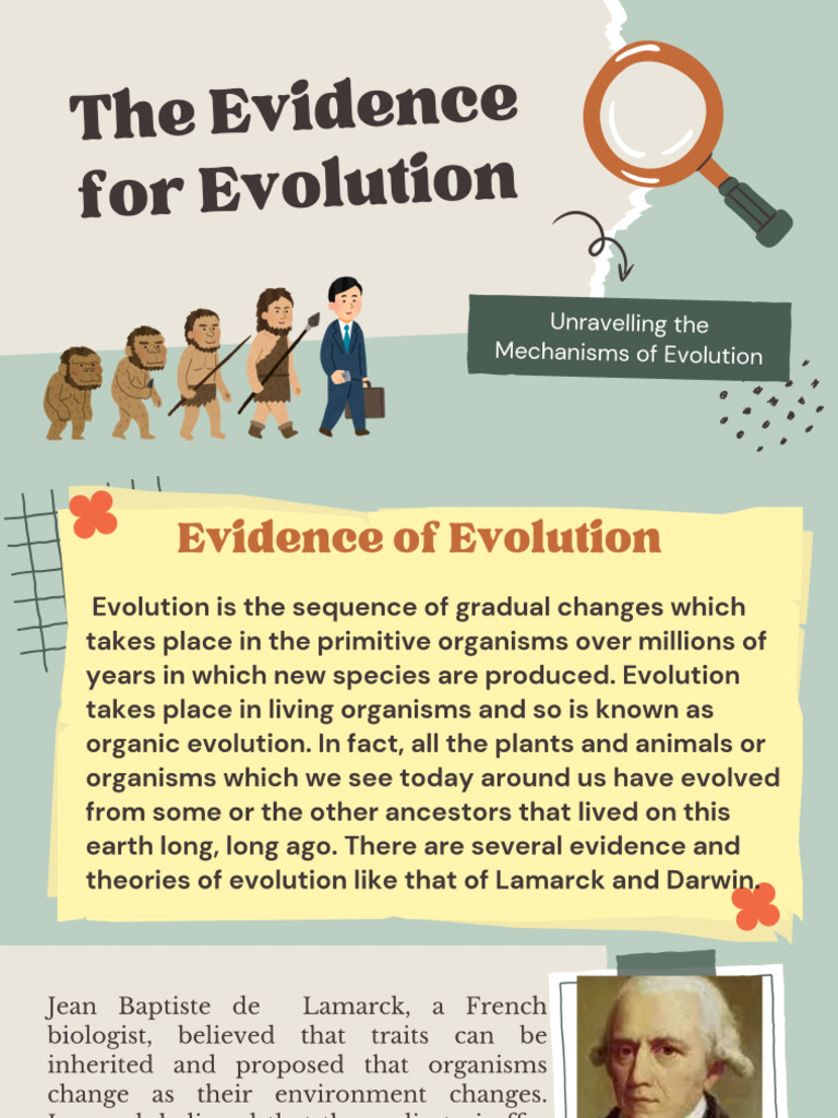 The Evidence For Evolution Education Presentation in Light Blue Style ...