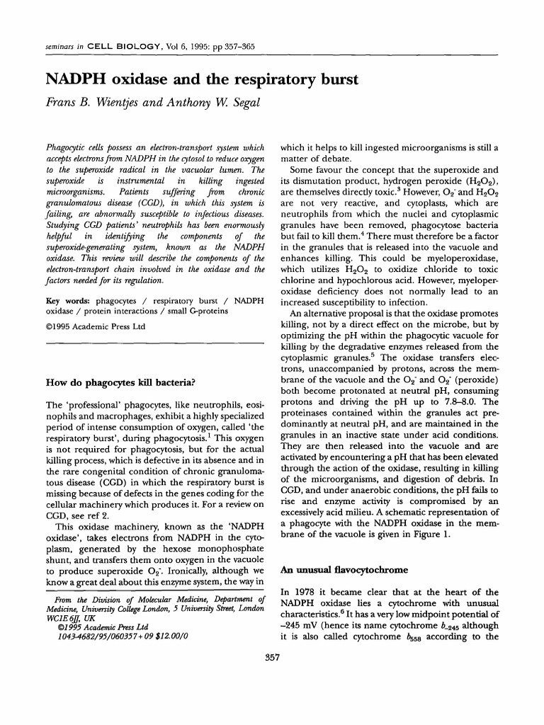 NADPH Oxidase in Phagocyte Function | PDF | Cell Biology | Molecular ...