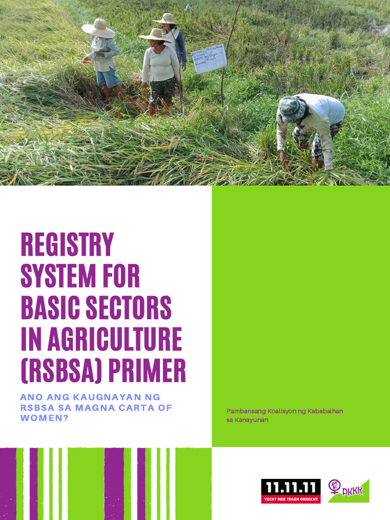 Rsbsa Primer | PDF