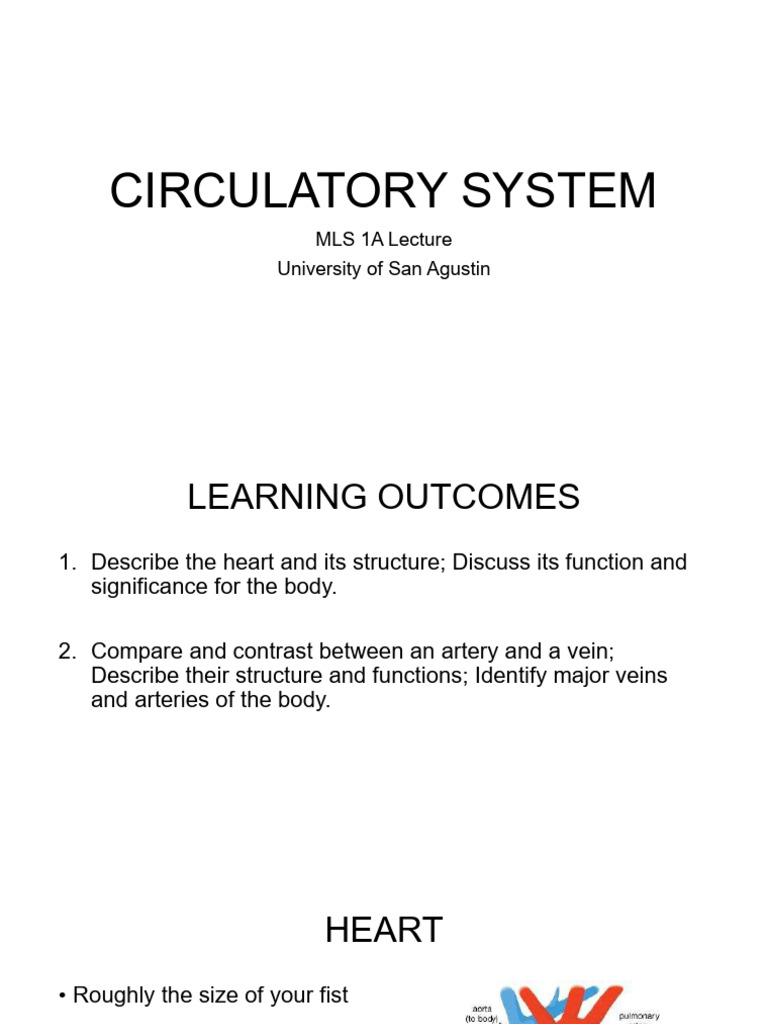 Overview of the Circulatory System | PDF