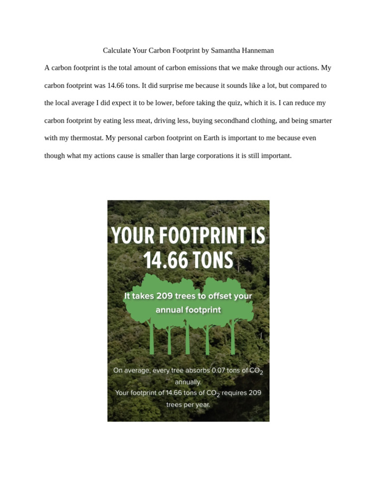 Calculate Your Carbon Footprint Today | PDF
