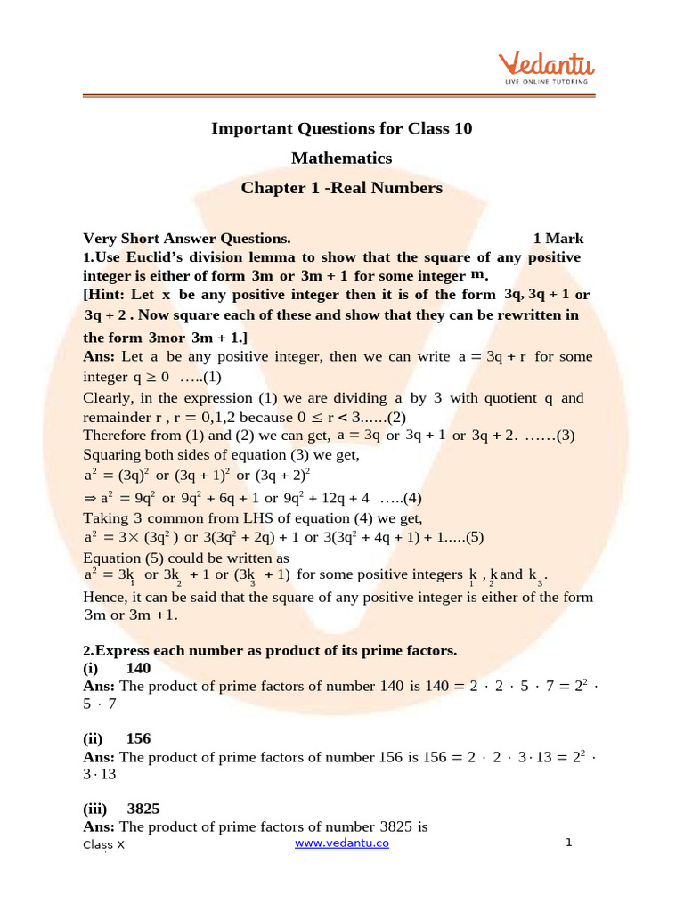 Important Class 10 Math Questions | PDF | Numbers | Rational Number
