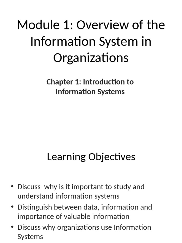 Understanding Information Systems in Organizations | PDF | Information ...