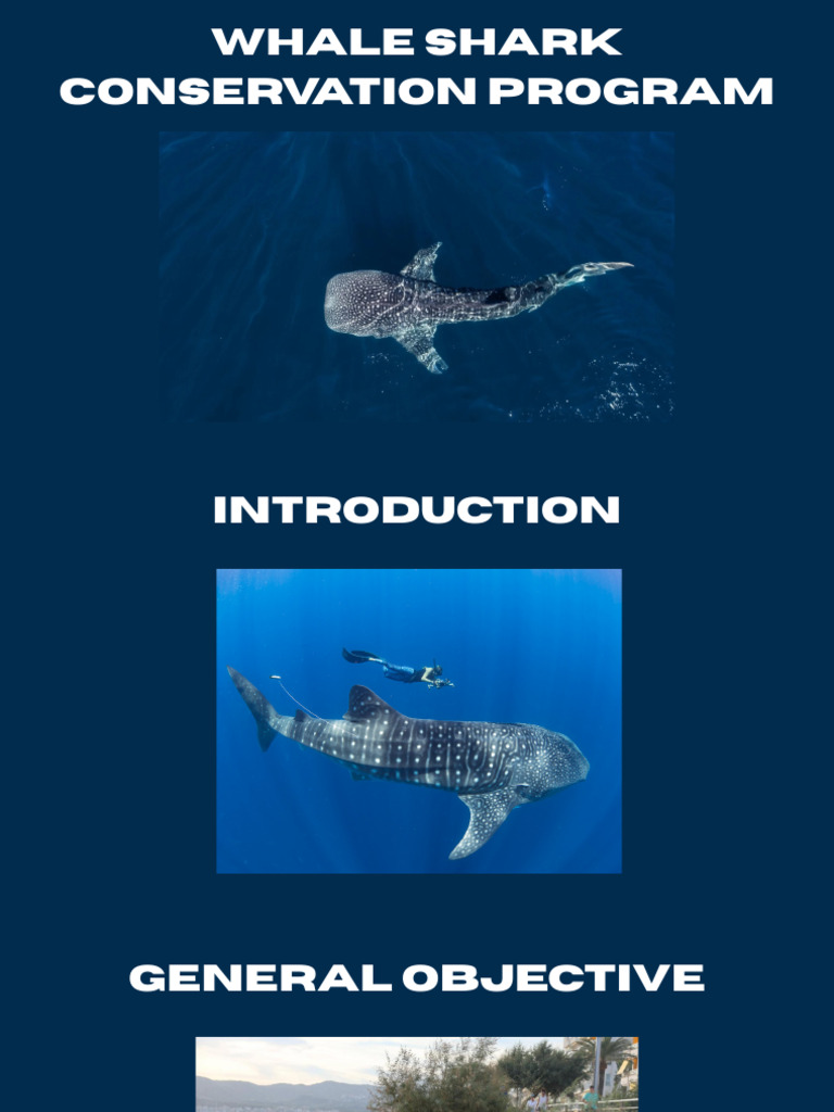 Whale Shark Conservation Program Overview | PDF