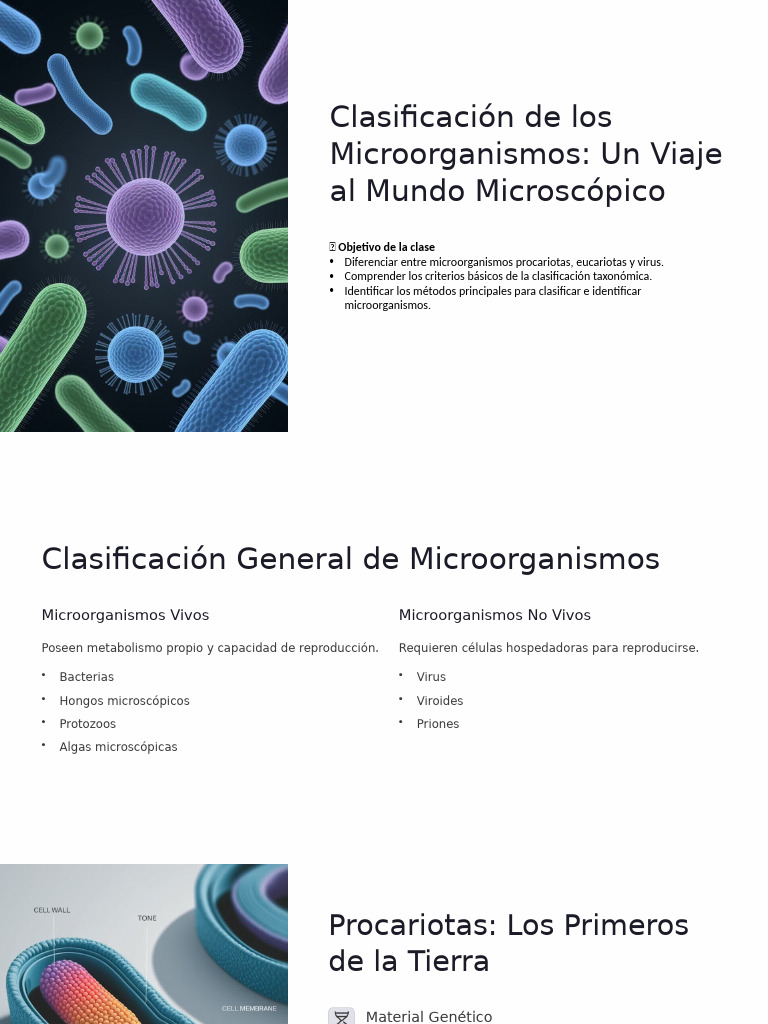 Clasificación de Microorganismos Esenciales | PDF | Las bacterias ...