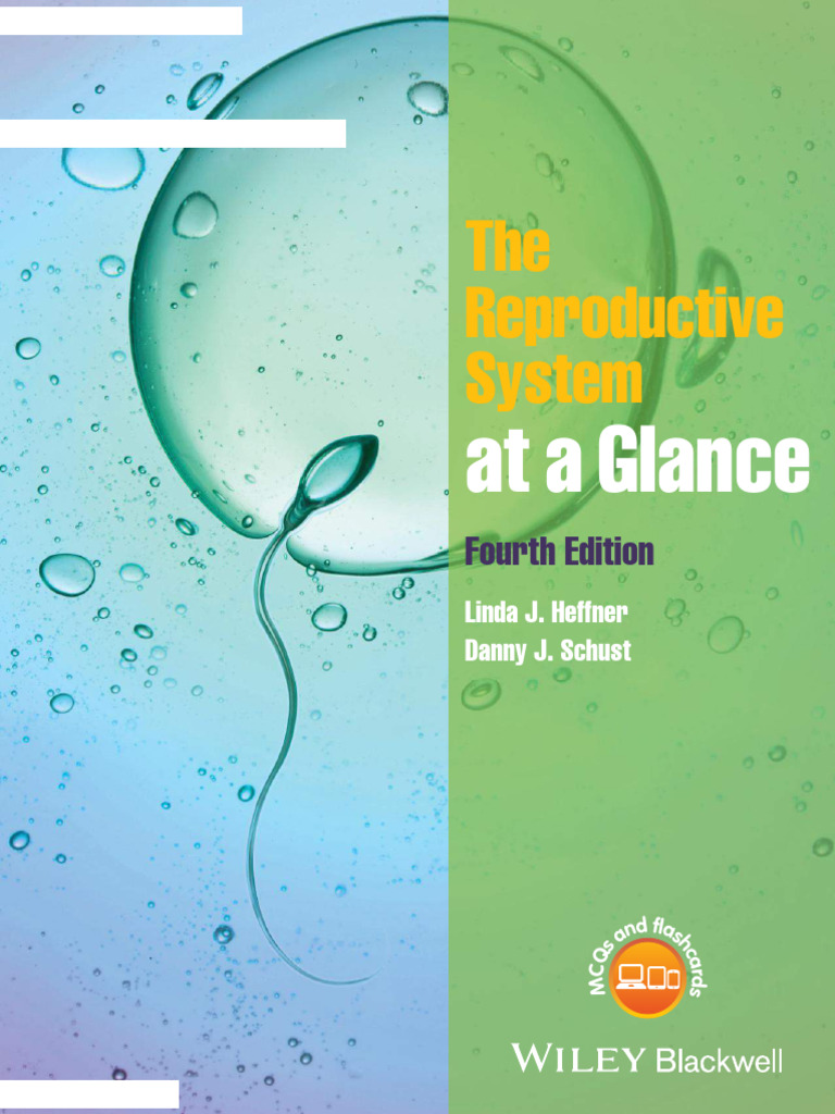 Reproductive System Overview: 4th Ed. | PDF | Puberty | Human Reproduction