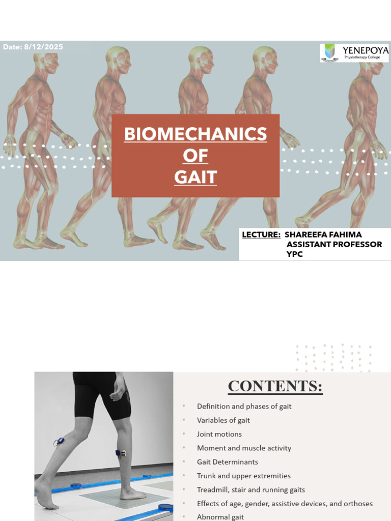 Biomechanics of Gait Explained | PDF | Anatomical Terms Of Motion | Foot