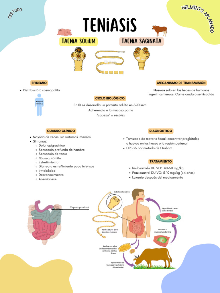Síntomas y Tratamiento de Teniasis | PDF | Ciencias de la Salud ...