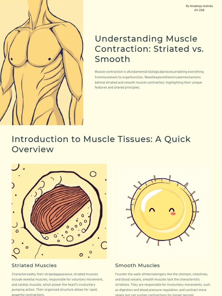 Muscle Contraction: Striated vs. Smooth | PDF | Muscle Contraction ...