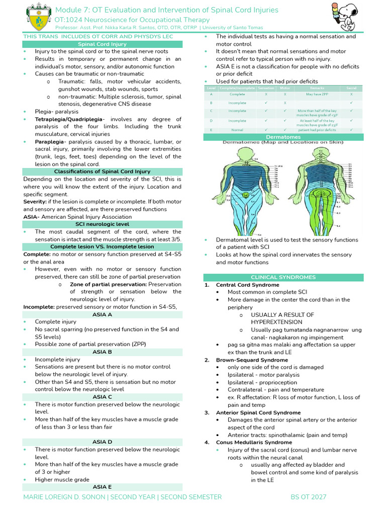 Spinal Cord Injury OT Evaluation Guide | PDF | Spinal Cord Injury ...
