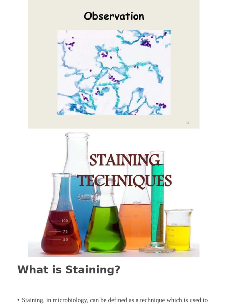 Overview of Staining Techniques in Microbiology | PDF | Staining ...