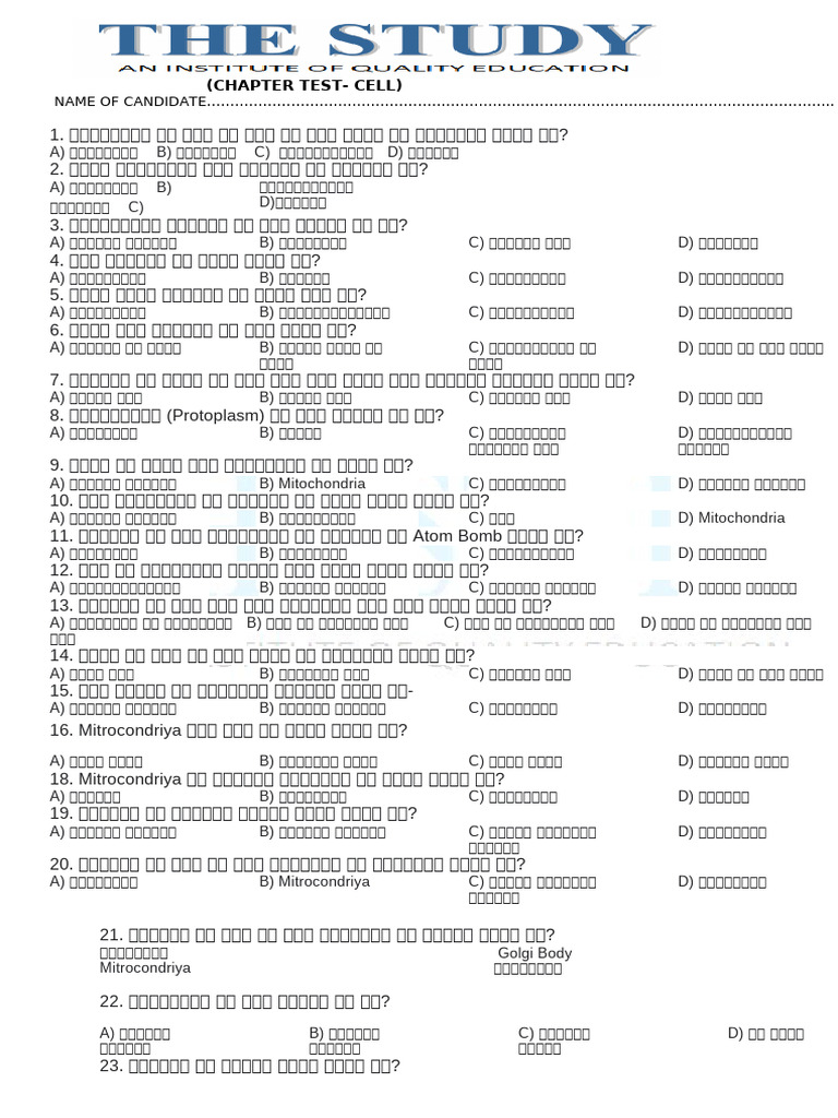 Oct Test | PDF