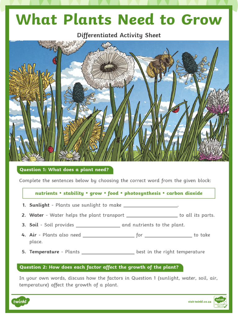 Essential Factors for Plant Growth | PDF | Plant Nutrition | Plants