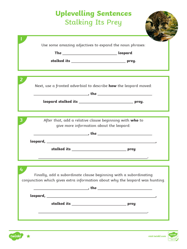 Enhance Sentences: Leopard Stalking Guide | PDF | Adjective | Sentence ...