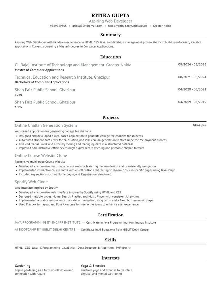 Aspiring Web Developer Portfolio | PDF | Websites | Web Application