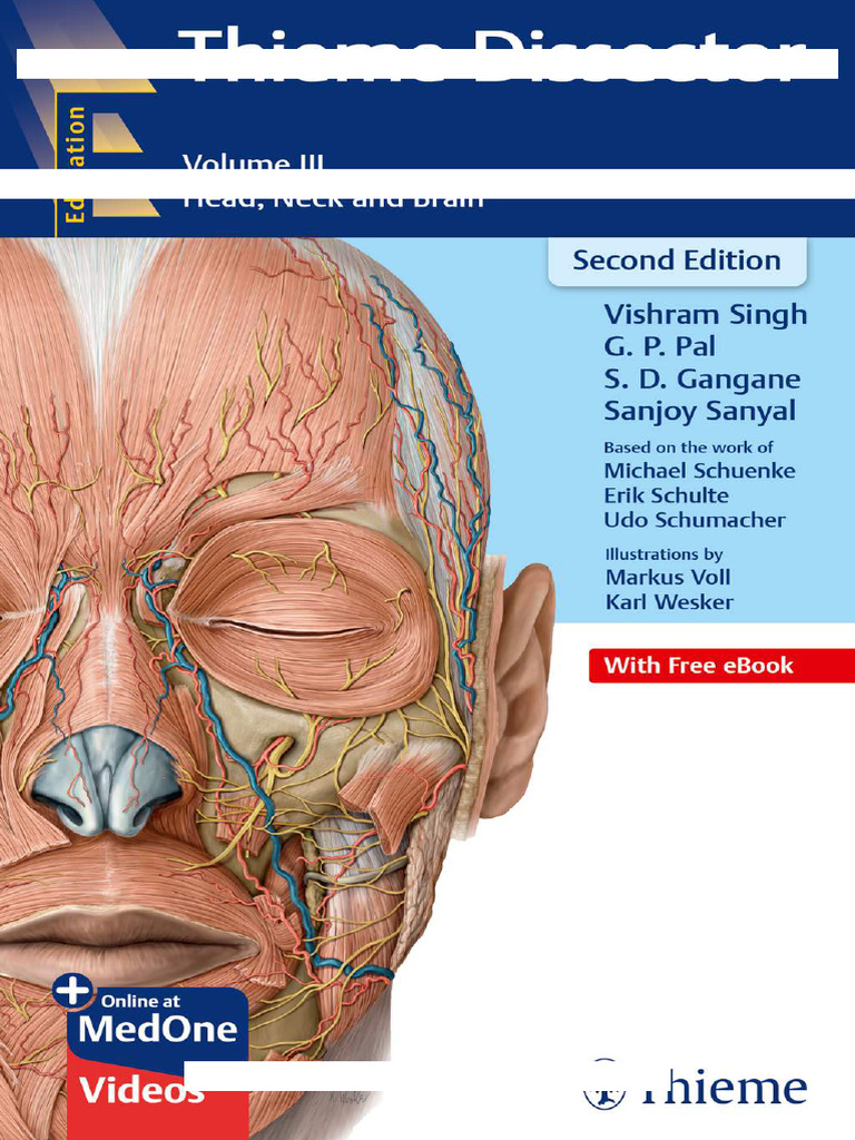 Thieme Dissector Vol 3: Head & Neck | PDF | Skull | Human Head And Neck
